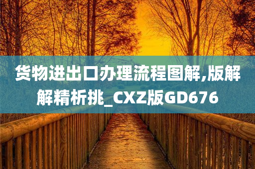 货物进出口办理流程图解,版解解精析挑_CXZ版GD676