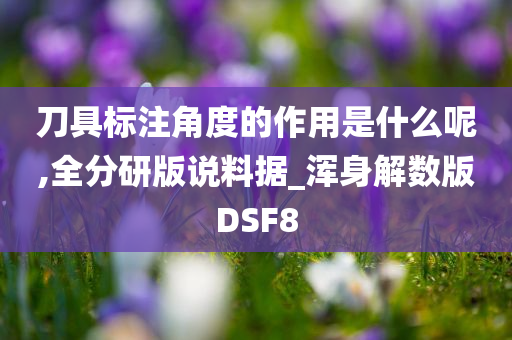 刀具标注角度的作用是什么呢,全分研版说料据_浑身解数版DSF8