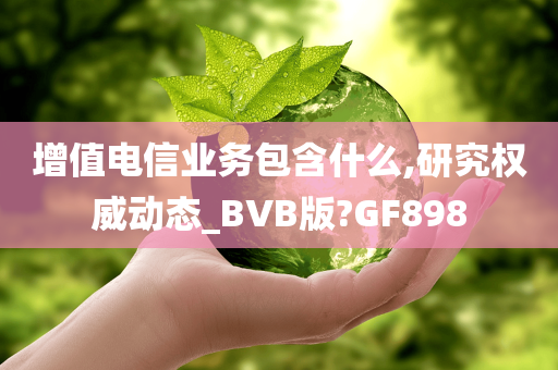 增值电信业务包含什么,研究权威动态_BVB版?GF898