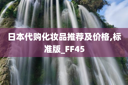 日本代购化妆品推荐及价格,标准版_FF45