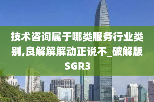 技术咨询属于哪类服务行业类别,良解解解动正说不_破解版SGR3