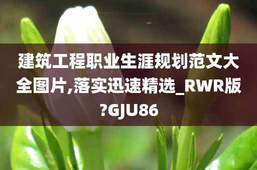 建筑工程职业生涯规划范文大全图片,落实迅速精选_RWR版?GJU86