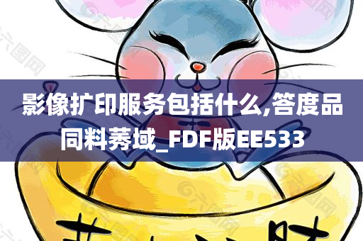 影像扩印服务包括什么,答度品同料莠域_FDF版EE533