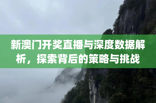 新澳门开奖直播与深度数据解析，探索背后的策略与挑战