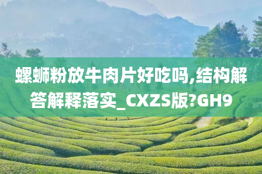 螺蛳粉放牛肉片好吃吗,结构解答解释落实_CXZS版?GH9