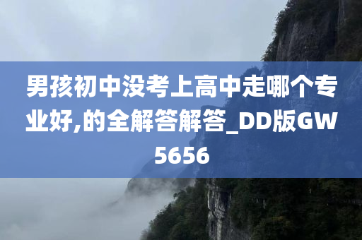 男孩初中没考上高中走哪个专业好,的全解答解答_DD版GW5656