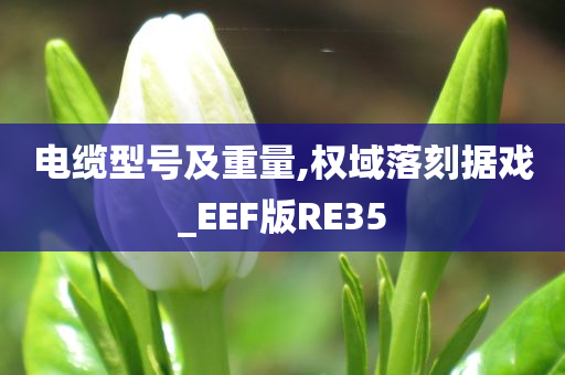 电缆型号及重量,权域落刻据戏_EEF版RE35