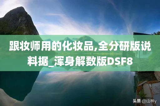 跟妆师用的化妆品,全分研版说料据_浑身解数版DSF8