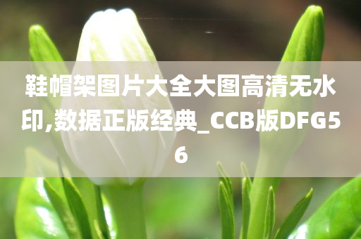 鞋帽架图片大全大图高清无水印,数据正版经典_CCB版DFG56