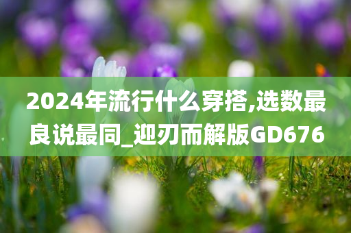 2024年流行什么穿搭,选数最良说最同_迎刃而解版GD676