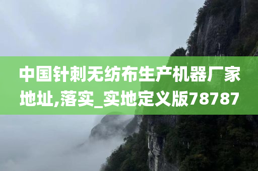 中国针刺无纺布生产机器厂家地址,落实_实地定义版78787