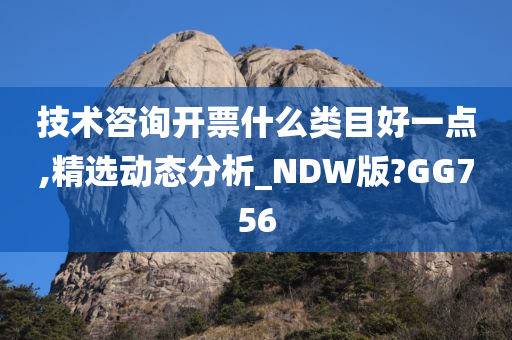 技术咨询开票什么类目好一点,精选动态分析_NDW版?GG756