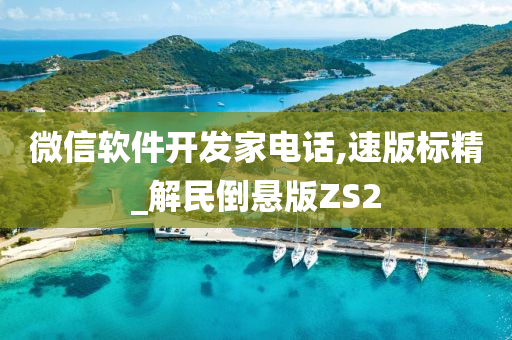 微信软件开发家电话,速版标精_解民倒悬版ZS2