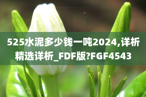 525水泥多少钱一吨2024,详析精选详析_FDF版?FGF4543