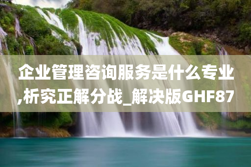 企业管理咨询服务是什么专业,析究正解分战_解决版GHF87