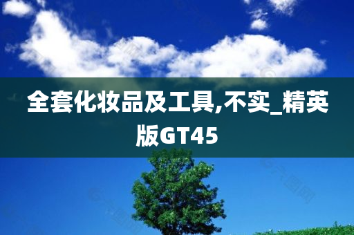 全套化妆品及工具,不实_精英版GT45