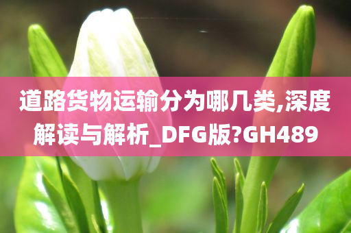 道路货物运输分为哪几类,深度解读与解析_DFG版?GH489