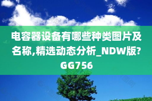 电容器设备有哪些种类图片及名称,精选动态分析_NDW版?GG756