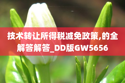 技术转让所得税减免政策,的全解答解答_DD版GW5656