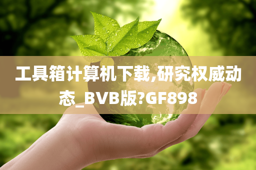 工具箱计算机下载,研究权威动态_BVB版?GF898