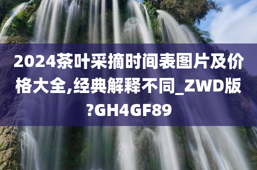 2024茶叶采摘时间表图片及价格大全,经典解释不同_ZWD版?GH4GF89