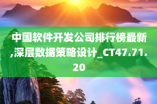 中国软件开发公司排行榜最新,深层数据策略设计_CT47.71.20