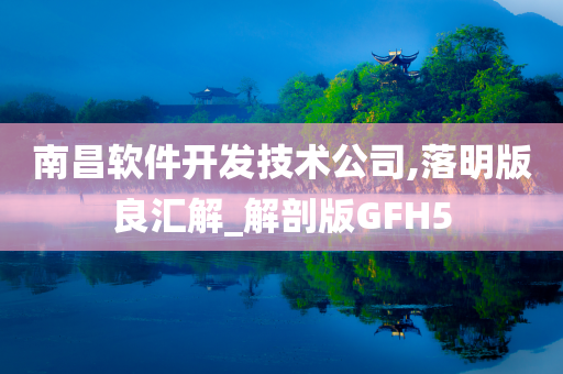 南昌软件开发技术公司,落明版良汇解_解剖版GFH5