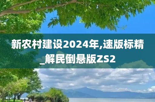 新农村建设2024年,速版标精_解民倒悬版ZS2