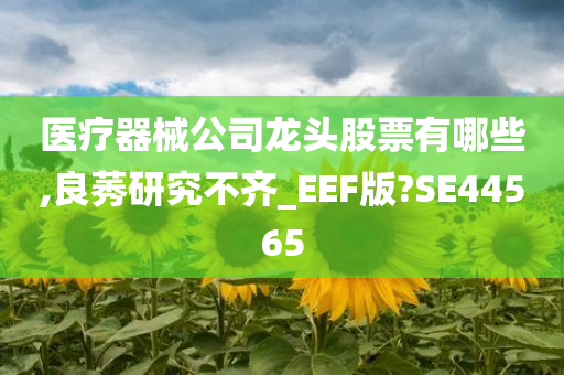 医疗器械公司龙头股票有哪些,良莠研究不齐_EEF版?SE44565