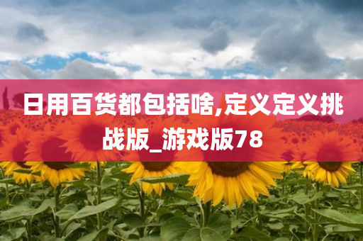 日用百货都包括啥,定义定义挑战版_游戏版78