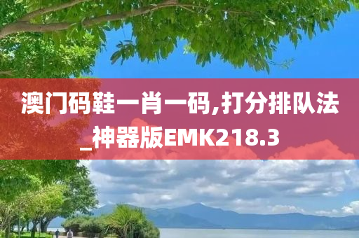 澳门码鞋一肖一码,打分排队法_神器版EMK218.3