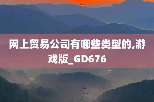 网上贸易公司有哪些类型的,游戏版_GD676