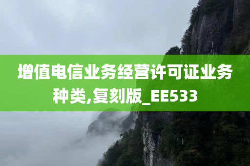 增值电信业务经营许可证业务种类,复刻版_EE533