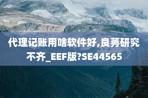 代理记账用啥软件好,良莠研究不齐_EEF版?SE44565