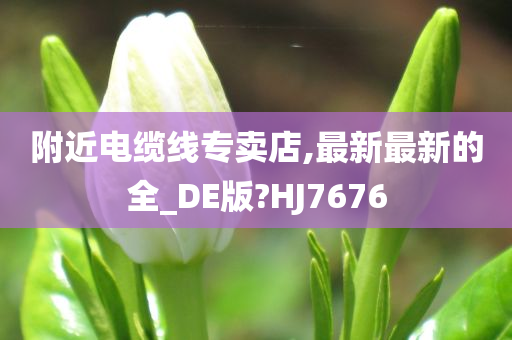 附近电缆线专卖店,最新最新的全_DE版?HJ7676