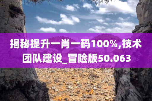 揭秘提升一肖一码100%,技术团队建设_冒险版50.063