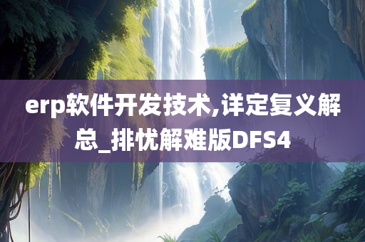 erp软件开发技术,详定复义解总_排忧解难版DFS4