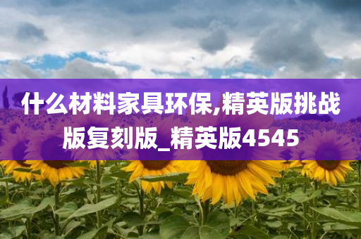 什么材料家具环保,精英版挑战版复刻版_精英版4545