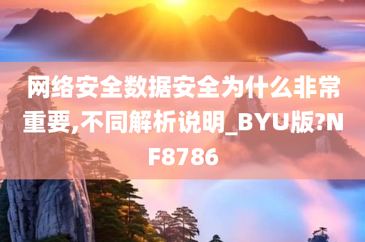 网络安全数据安全为什么非常重要,不同解析说明_BYU版?NF8786