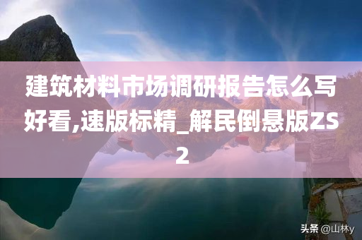 建筑材料市场调研报告怎么写好看,速版标精_解民倒悬版ZS2