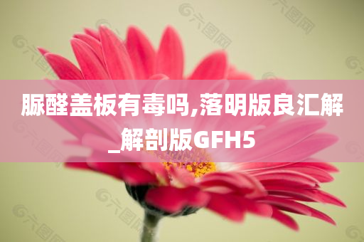 脲醛盖板有毒吗,落明版良汇解_解剖版GFH5