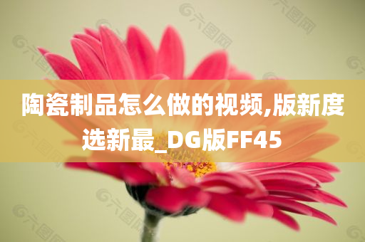 陶瓷制品怎么做的视频,版新度选新最_DG版FF45