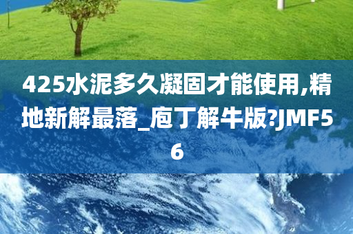 425水泥多久凝固才能使用,精地新解最落_庖丁解牛版?JMF56