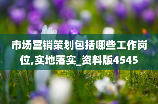 市场营销策划包括哪些工作岗位,实地落实_资料版4545