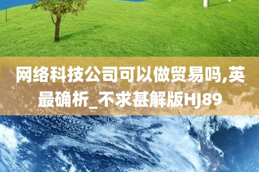 网络科技公司可以做贸易吗,英最确析_不求甚解版HJ89