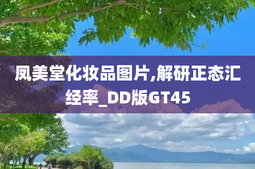 凤美堂化妆品图片,解研正态汇经率_DD版GT45