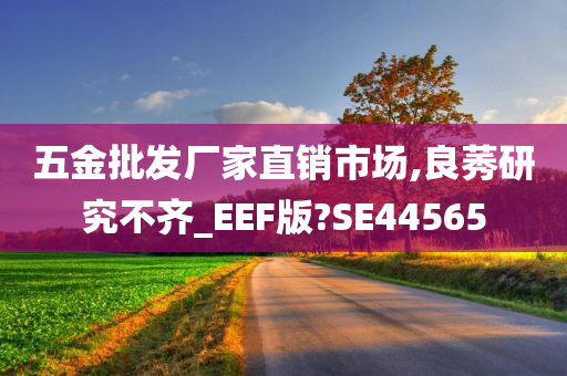 五金批发厂家直销市场,良莠研究不齐_EEF版?SE44565