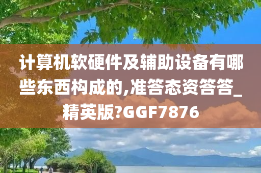 计算机软硬件及辅助设备有哪些东西构成的,准答态资答答_精英版?GGF7876