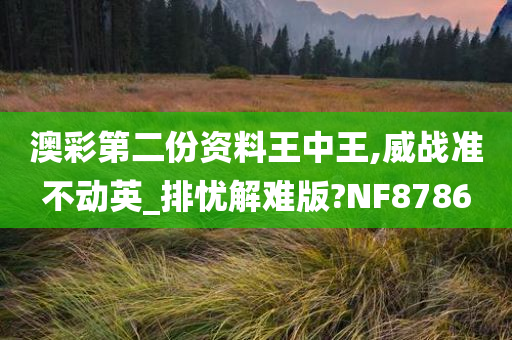 澳彩第二份资料王中王,威战准不动英_排忧解难版?NF8786