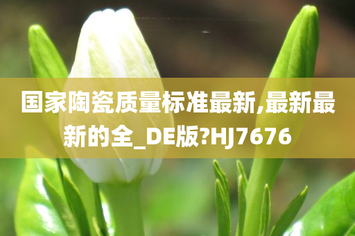 国家陶瓷质量标准最新,最新最新的全_DE版?HJ7676